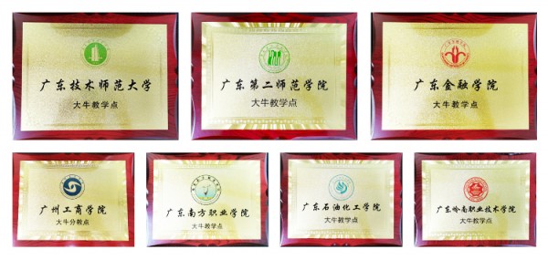 大牛教育：11年凭借“专业”和“服务”赢得市场