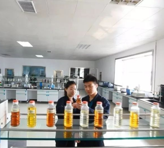 嘉里粮油坚守高质量之路,技术创新助推粮油产业变革