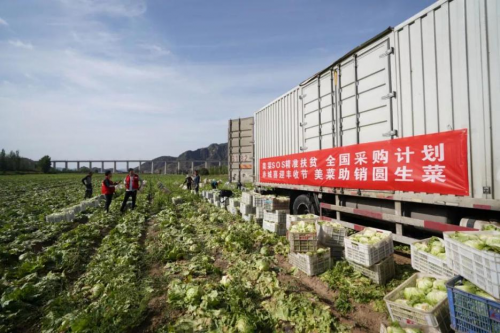 美菜网凭借强大的互联网销售渠道，助力农产品上行