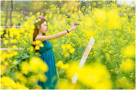 花期已到，高明盈香生态园简直美炸，百亩花海吸引游客打卡