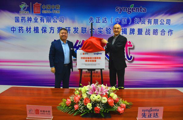 国药种业与先正达携手创建中药材植保方案研发联合实验室