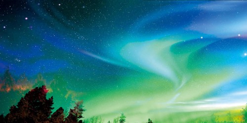 Nutri Arctic：致力于开发和制造纯天然健康膳食