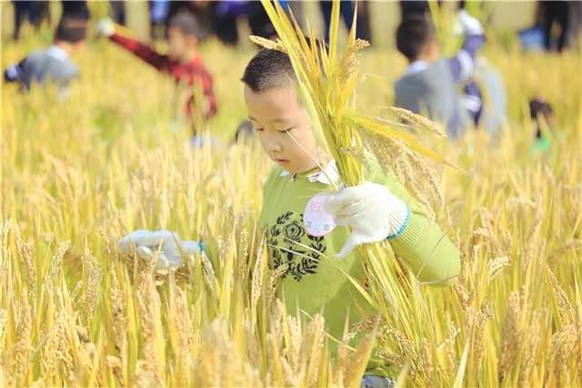 https://mmbiz.qpic.cn/mmbiz_png/3uSpwic1aDbMyps7InzExz4NCrKfjCjGFibre18uF9clkrufQQIkSzZDwbMC3cXBibGz0aibnLEsIbI1fUO8YhKFdg/640?wx_fmt=png&wxfrom=5&wx_lazy=1&wx_co=1
