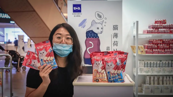 图片15.png
