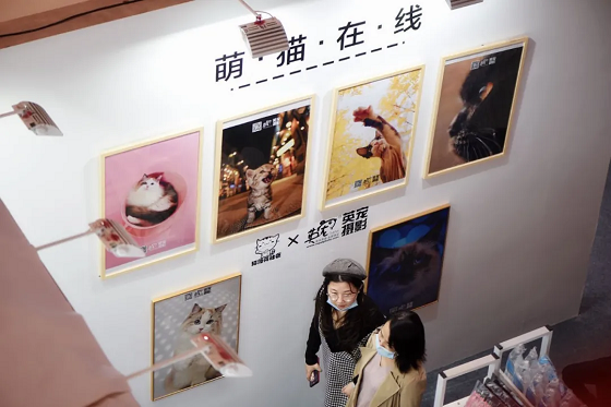 图片25.png