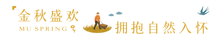 02.png