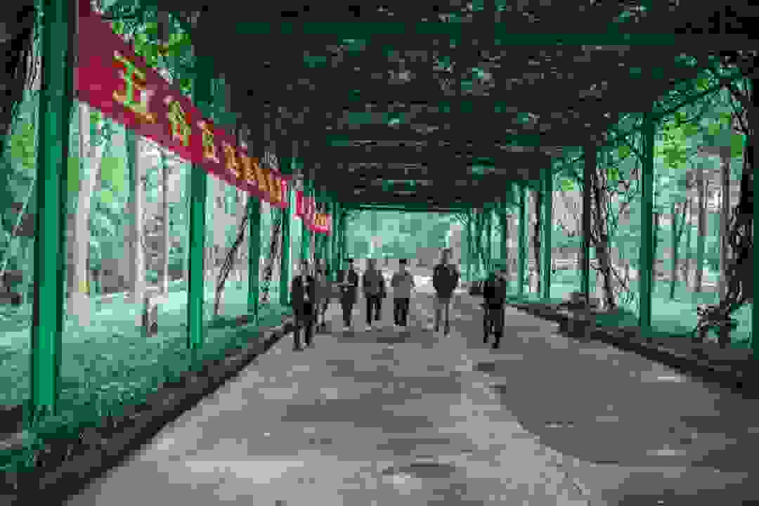 打破走马观花式“站台”，舍得与环球艺术家做了什么 ？
