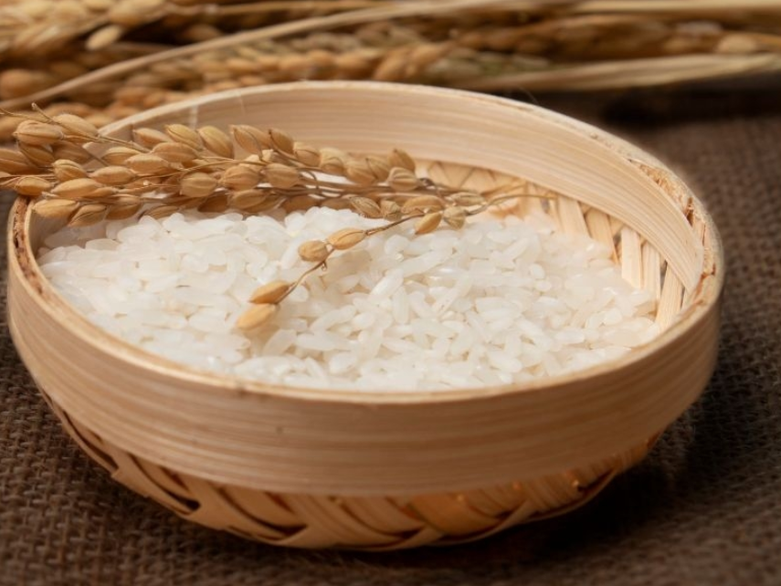 东芝电饭煲：为何能赢得人们的“芳心”