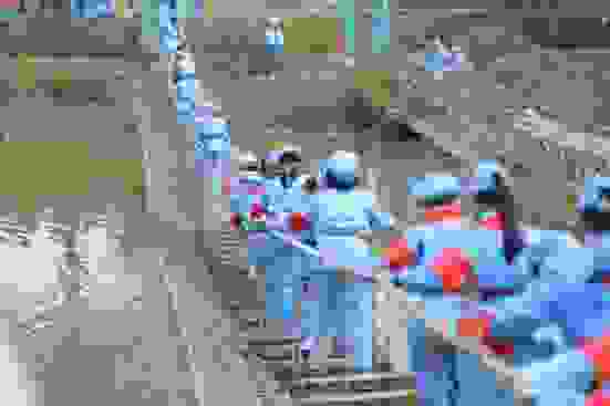 565a2d10a62dc59ee895b21a1c29803