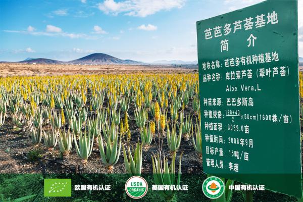 3.芭芭多芦荟基地+3个认证1.jpg