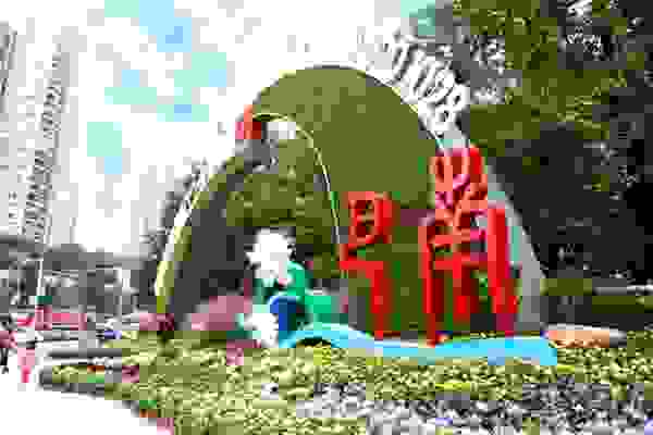 菊展开幕,巴南邀您共赏!