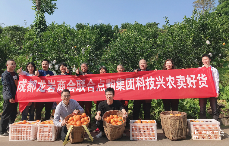 资源联合，点购集团搭建供销“连心桥”助力脐橙销往全国