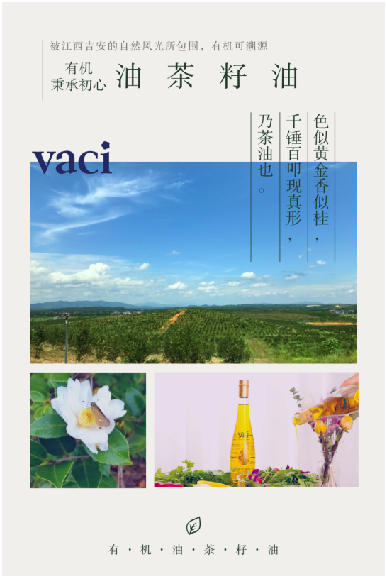 清淡快手菜谱，用vaci有机油茶籽油！