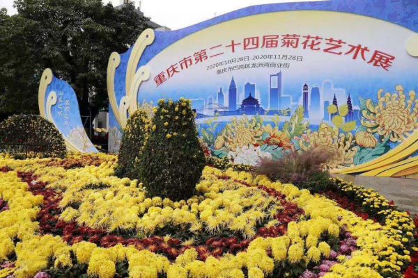 重庆市第24届菊花艺术展闭幕 实现人流量300多万（人次） 整个展区消费达到3.5亿