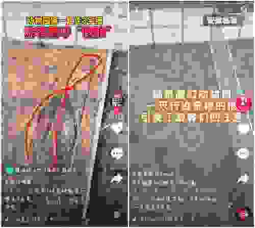 火爆全网！这匹走“8”字的狼上热搜了！