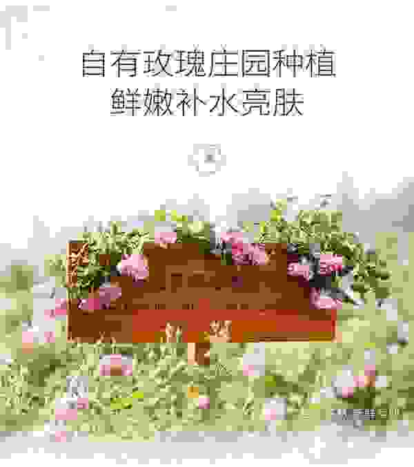 半亩花田的十年“耕植”之路