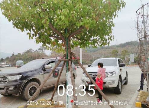 ԽҰe庳·߸ݶӡӡ