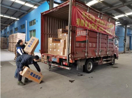 专家呼吁好好吃饭 营养素是身体的黄金搭档