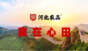 河北农品 冀在心田 Ⅰ 河北农品登陆央视 河北梨率先亮相