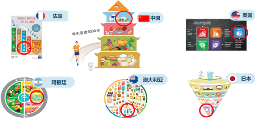 图片 4.png