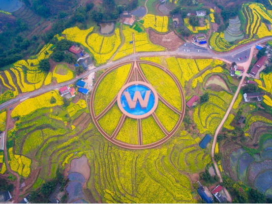 五粮液新推原度小酒大作，70°火爆再次刷新小瓶好酒价值高度！