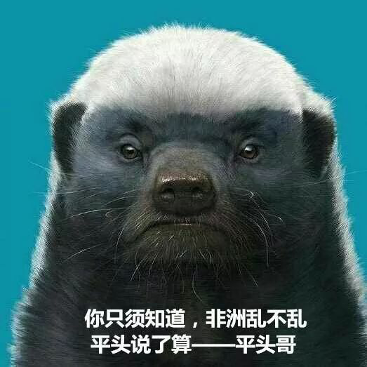 横字当头，迈迈成为CEVC赛场的“平头哥”