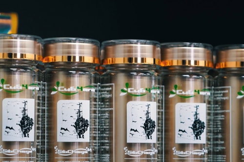 越发重视健康价值 疫情或加速白桦茸行业洗牌