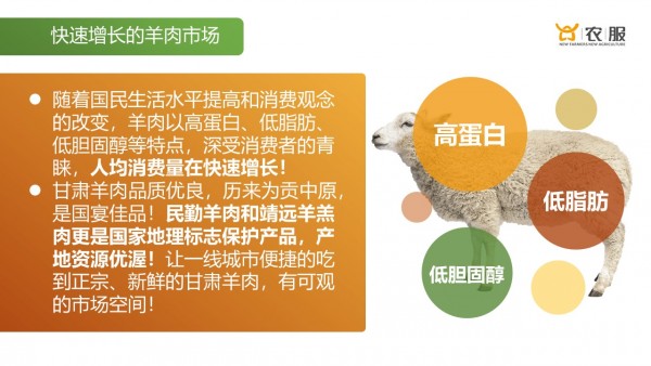 兴农服，让正宗甘肃羊肉触手可及