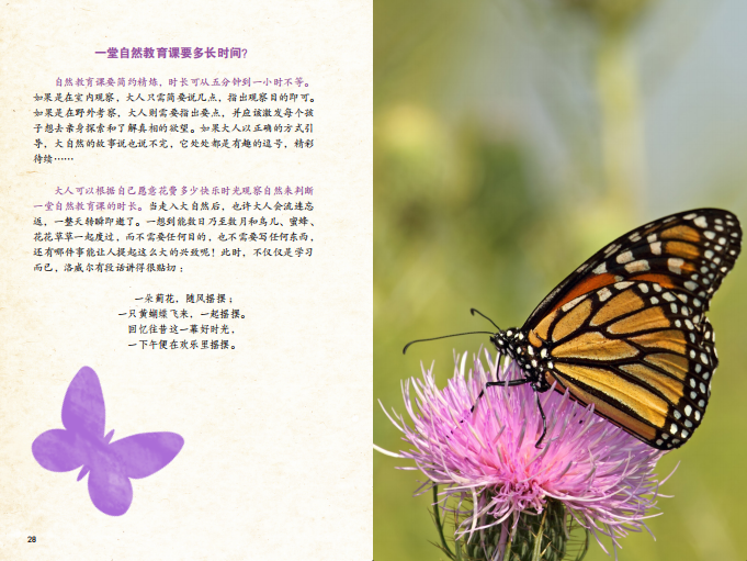 图片9