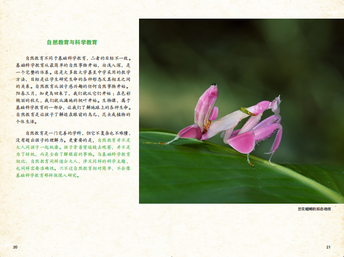 图片11