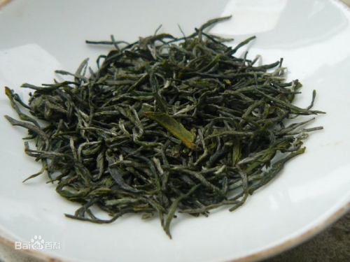 信阳毛尖茶好在哪里？古法制茶的现代传承