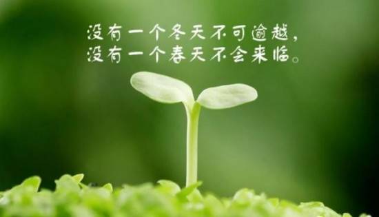 战疫是大考，必胜是答案——中建四局土木公司东莞分公司战疫手记