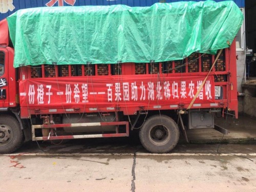 百果园“暖春助农”走进湖北，助力秭归脐橙销全国