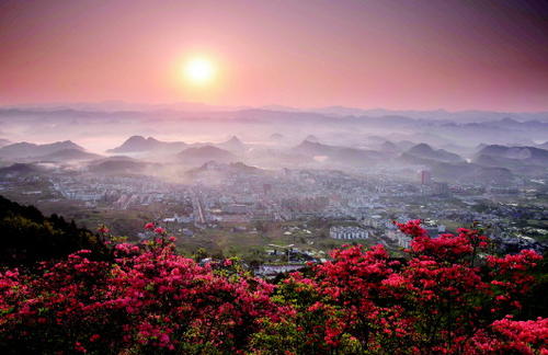 丹寨的杜鹃花节旅游爆火？只因这里景色令人震撼！
