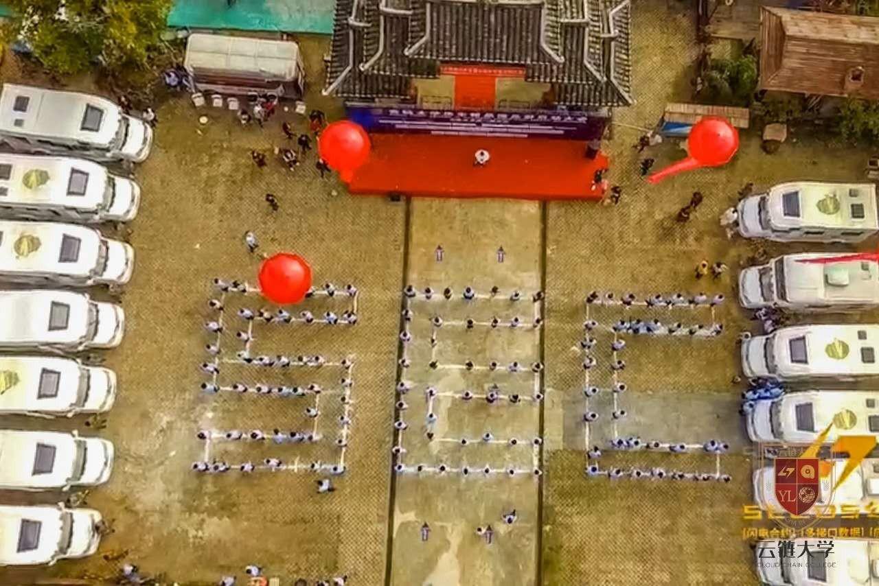 2020，通证经济发展元年？
