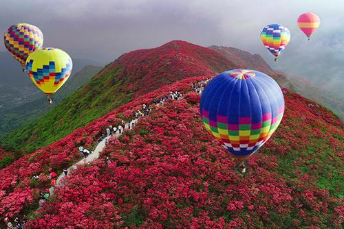 假期去哪里玩？5.1带她去丹寨万达小镇杜鹃花节吧！
