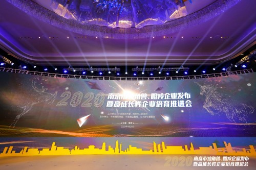 大美股份再次荣获“南京市瞪羚企业”称号！