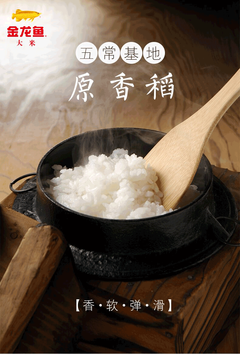 “香软弹滑”的金龙鱼原香稻，口口下去皆是人间美味