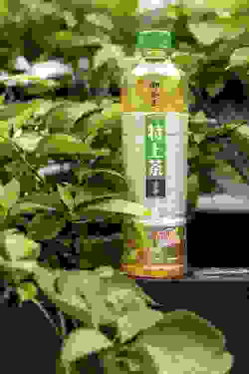 首届国际茶日，御茶王“特上茶”做出现泡的好味道