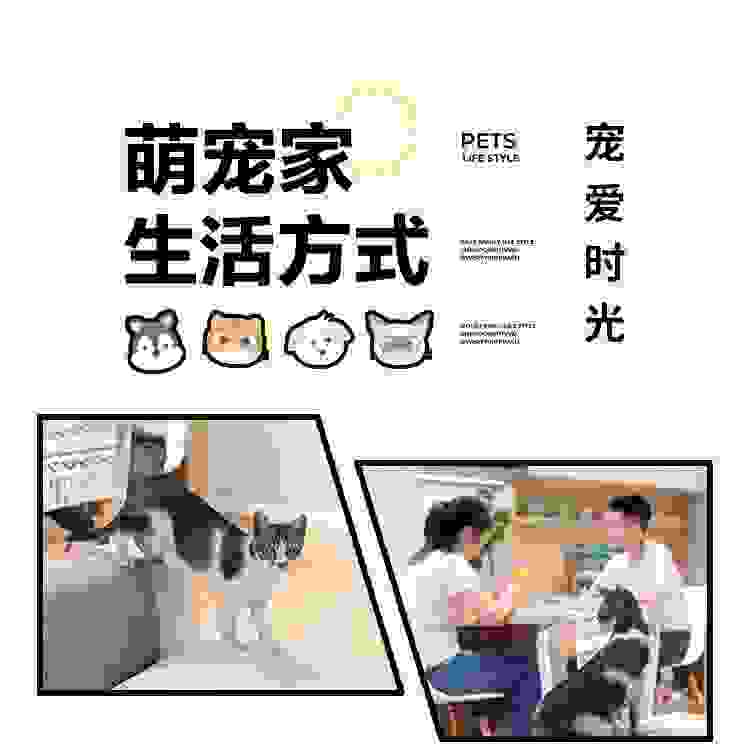 维意定制「宠爱时光」：自从看了为猫设计的家，瞬间流泪了