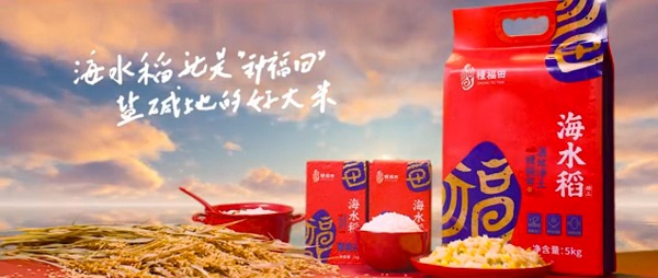 海水稻生态品牌“种福田”秉承拓荒人精神 共筑产业势能