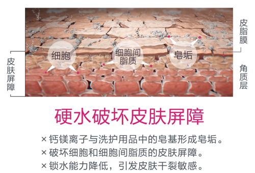 A.O.史密斯揭秘夏季皮肤出油干燥的真相