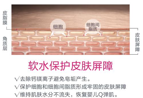 A.O.史密斯揭秘夏季皮肤出油干燥的真相