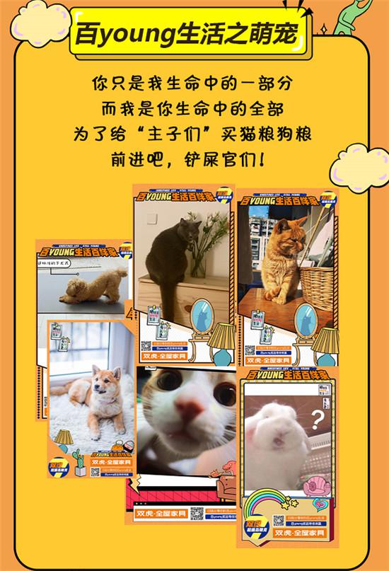 图片5.jpg