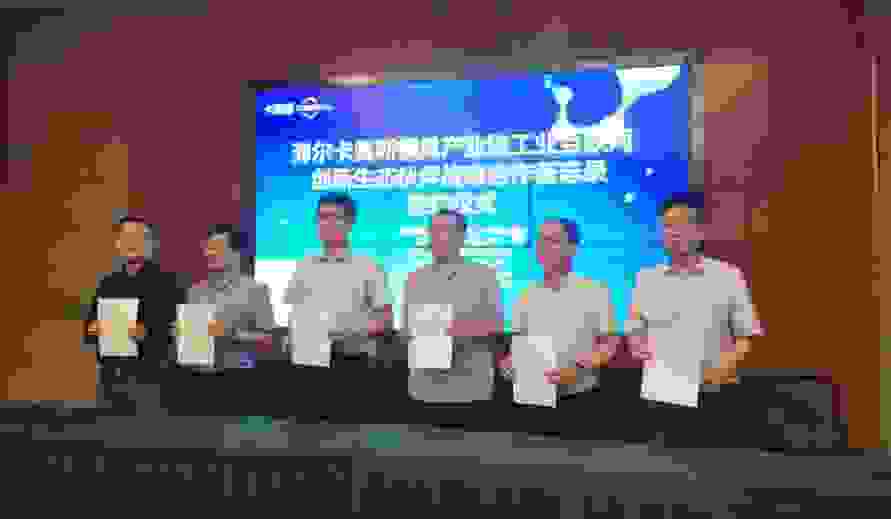 “246”万千亿级项目迎来新产业平台？宁波官方回应：海尔卡奥斯