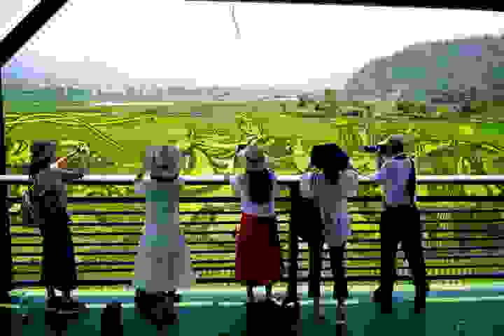004.jpg