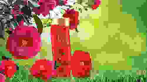 2-200H3150934R8.jpeg