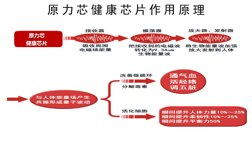 2-200HG13302309.png