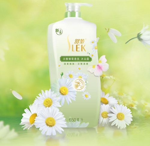 舒蕾的淡雅雏菊|让你做回天真浪漫少女