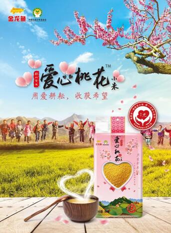 益海嘉里深化产业帮扶，爱心小米助推蔚县脱贫摘帽
